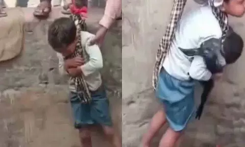 Bihar में बकरी के बच्चे को बचाने के लिए कुएं में उतारा गया लड़का, वीडियो वायरल Bihar में बकरी के बच्चे को बचाने के लिए कुएं में उतारा गया लड़का, वीडियो वायरल