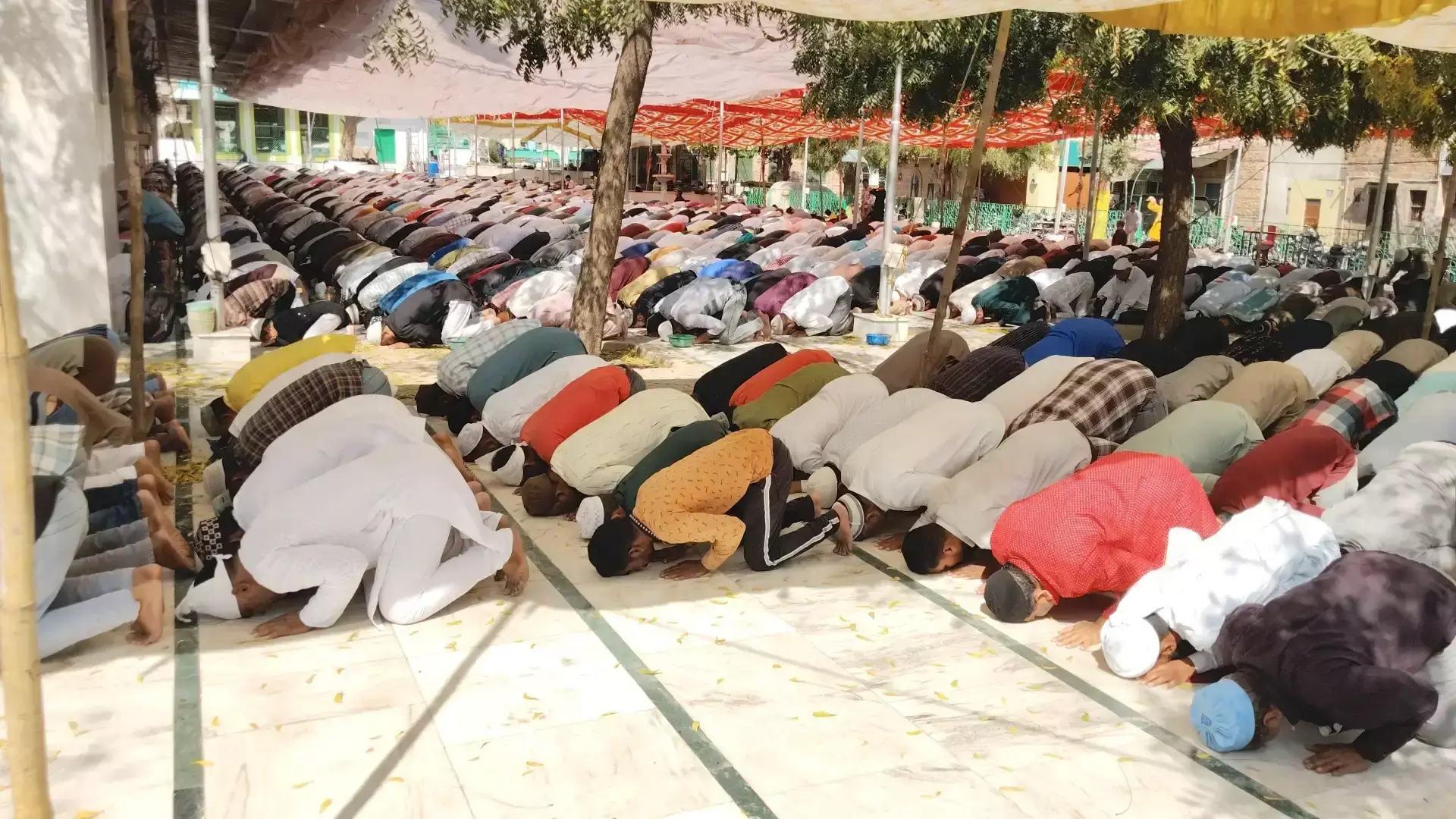 Jodhpur: जुमे की नमाज में बड़ी संख्या में पहुंचे अकीदतमंद Jodhpur: जुमे की नमाज में बड़ी संख्या में पहुंचे अकीदतमंद