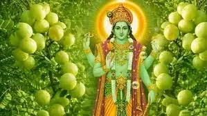 Amalaki Ekadashi 2026: आमलकी एकादशी पर पढ़ें आंवले के पेड़ से जुड़ी कहानी Amalaki Ekadashi 2026: आमलकी एकादशी पर पढ़ें आंवले के पेड़ से जुड़ी कहानी