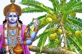 Amalaki Ekadashi 2026 Upay: आमलकी एकादशी के दिन जरूर करें आंवले के ये उपाय, दूर होगी आर्थिक तंगी Amalaki Ekadashi 2026 Upay: आमलकी एकादशी के दिन जरूर करें आंवले के ये उपाय, दूर होगी आर्थिक तंगी