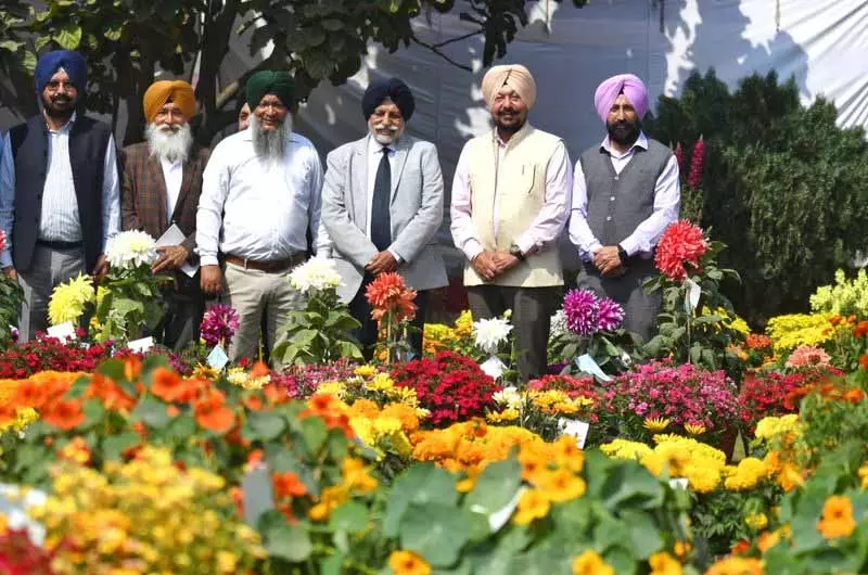 PAU में दो दिवसीय पुष्प प्रदर्शनी शुरू हुई PAU में दो दिवसीय पुष्प प्रदर्शनी शुरू हुई