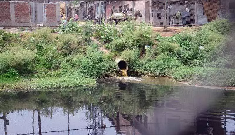 Buddha River में गंदा पानी डालने के लिए दो डेयरी मालिकों पर केस दर्ज Buddha River में गंदा पानी डालने के लिए दो डेयरी मालिकों पर केस दर्ज
