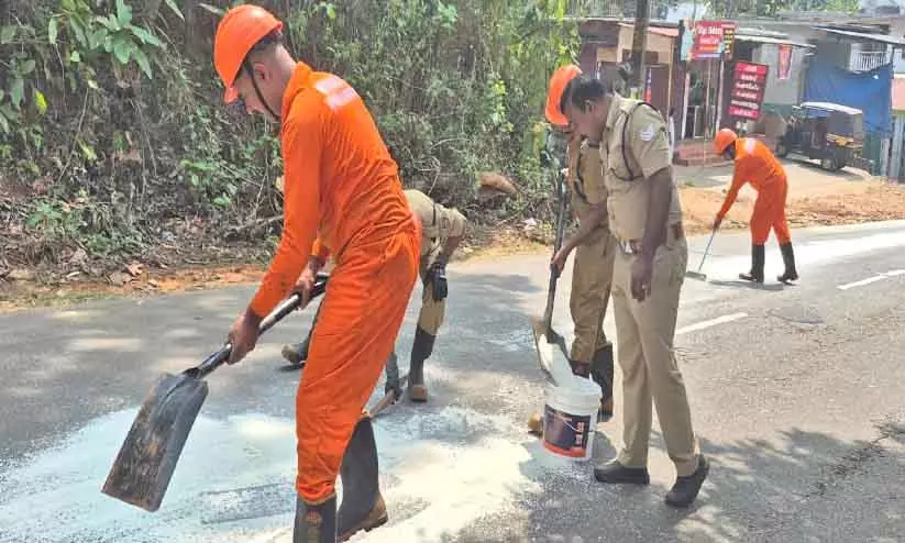 चावल ले जा रही लॉरी का एक्सीडेंट; Rice सड़क पर बिखर गया चावल ले जा रही लॉरी का एक्सीडेंट; Rice सड़क पर बिखर गया
