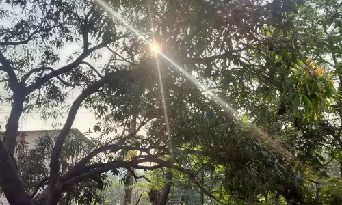 उफ्फ ये गर्मी! तापमान में बढ़ोतरी दिन-ब-दिन