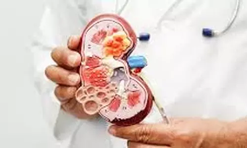 Kidney Cancer: किडनी कैंसर के 5 खतरनाक संकेत: बार-बार दिखें तो तुरंत हो जाएं अलर्ट Kidney Cancer: किडनी कैंसर के 5 खतरनाक संकेत: बार-बार दिखें तो तुरंत हो जाएं अलर्ट