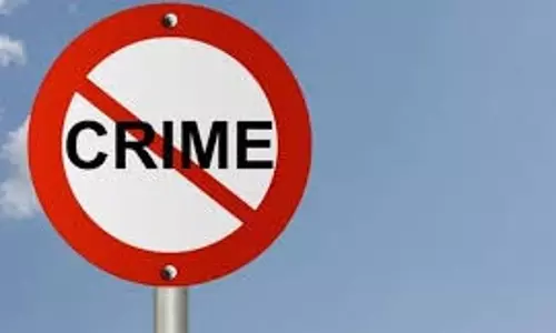 Madhya Pradesh: फेरीवाले बनकर आए बदमाशों ने महिला से की लूट