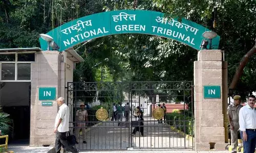 Delhi NGT ने पीतमपुरा में अवैध पेड़ कटाई पर कार्रवाई का आदेश Delhi NGT ने पीतमपुरा में अवैध पेड़ कटाई पर कार्रवाई का आदेश