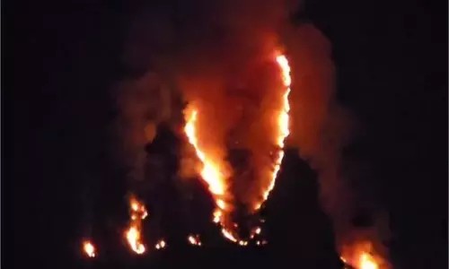 Ganderbal : जंगलों में प्रकृति का तांडव, इलाके में फैली दहशत Ganderbal : जंगलों में प्रकृति का तांडव, इलाके में फैली दहशत