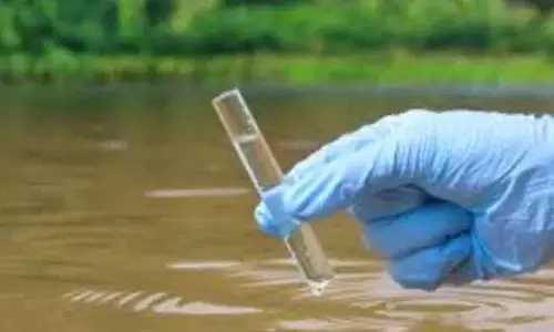Anantnag SKUAST-K टीम ने एंडर्नग, शेरबाग झरने से सैंपल इकट्ठा किए