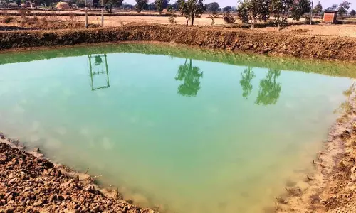 राष्ट्रीय ग्रामीण रोजगार गारंटी योजना, मजबूत हुई आजीविका की राह राष्ट्रीय ग्रामीण रोजगार गारंटी योजना, मजबूत हुई आजीविका की राह