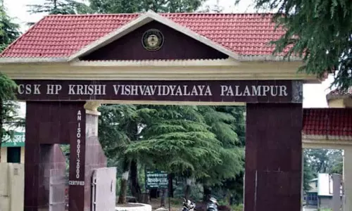 30 महीने के खालीपन के बाद, Palampur एग्रीकल्चर यूनिवर्सिटी में VC पोस्ट का विज्ञापन जारी 30 महीने के खालीपन के बाद, Palampur एग्रीकल्चर यूनिवर्सिटी में VC पोस्ट का विज्ञापन जारी