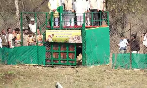Botswana से 9 और चीतों का आगमन: कुनो में बड़ी बिल्लियों की संख्या बढ़कर 48 हो गई Botswana से 9 और चीतों का आगमन: कुनो में बड़ी बिल्लियों की संख्या बढ़कर 48 हो गई