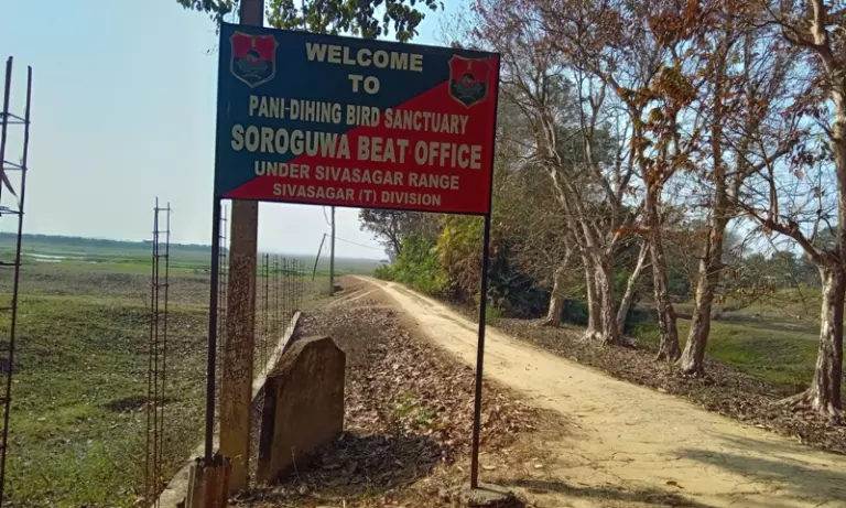 Assam के एवियन हॉटस्पॉट पानीदेहिंग पक्षी अभयारण्य में कई चुनौतियाँ Assam के एवियन हॉटस्पॉट पानीदेहिंग पक्षी अभयारण्य में कई चुनौतियाँ
