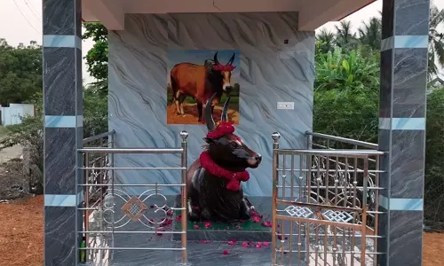 Tamil Nadu: त्रिची के एक परिवार ने इनामी जल्लीकट्टू बैल सेनकुरिकी सेवलाई के लिए स्मारक बनवाया Tamil Nadu: त्रिची के एक परिवार ने इनामी जल्लीकट्टू बैल सेनकुरिकी सेवलाई के लिए स्मारक बनवाया
