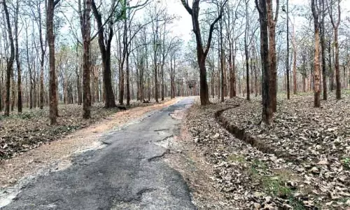 Kerala ; जंगल में आग से बचाव का सिस्टम नहीं है