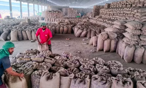 Haryana के सीएम सैनी ने ‘5,000 करोड़ रुपये के धान घोटाले’ की सीबीआई जांच से इनकार किया