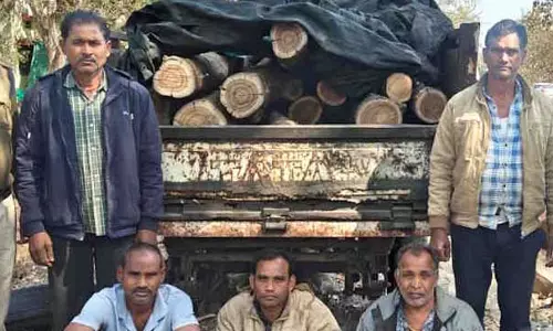 सागौन के ईमारती लकड़ी जब्त, अवैध परिवहन नाकाम सागौन के ईमारती लकड़ी जब्त, अवैध परिवहन नाकाम