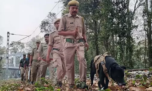 चुनाव से पहले जंगल में कड़ी निगरानी के बीच ट्रेंड कुत्ते ‘Orlando’ ने ध्यान खींचा
