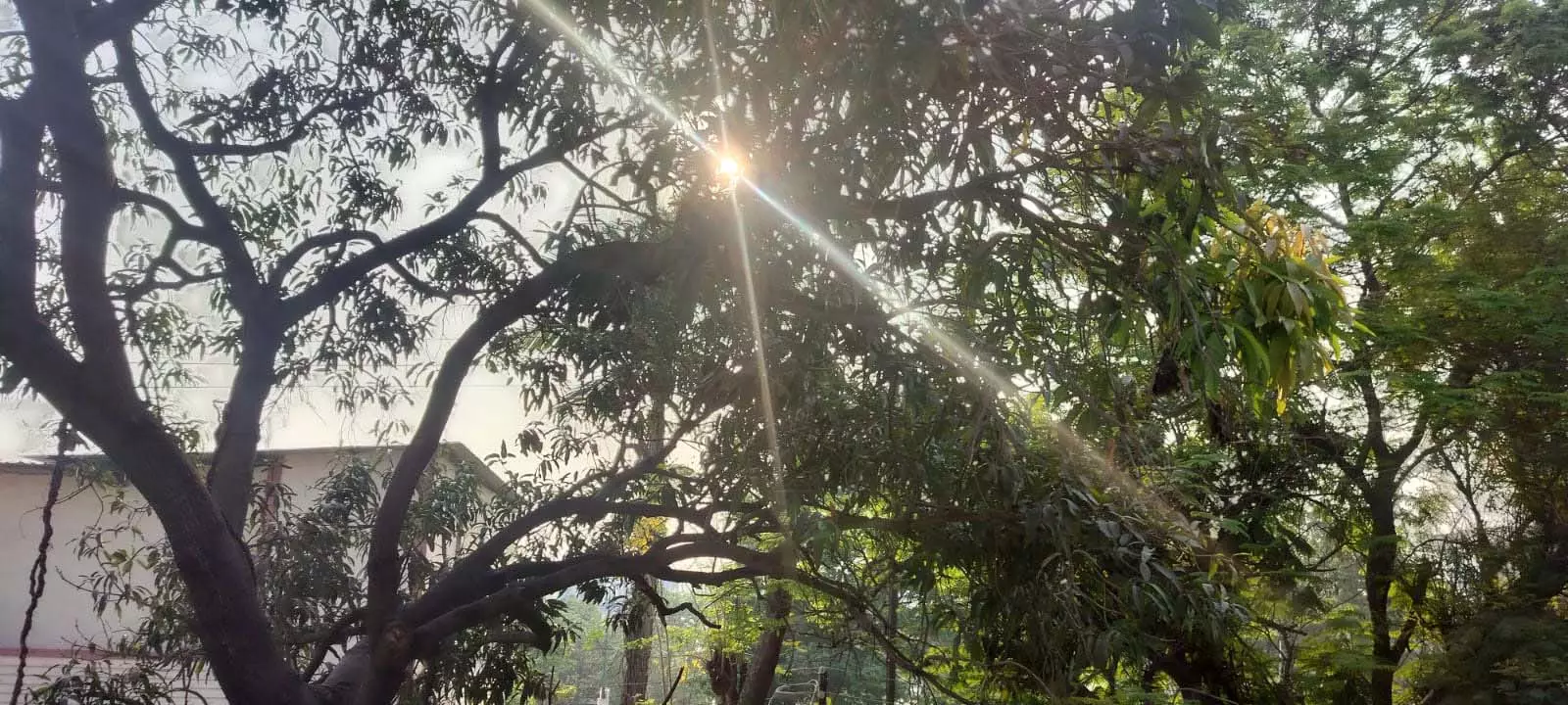 उफ्फ ये गर्मी! तापमान में बढ़ोतरी दिन-ब-दिन उफ्फ ये गर्मी! तापमान में बढ़ोतरी दिन-ब-दिन