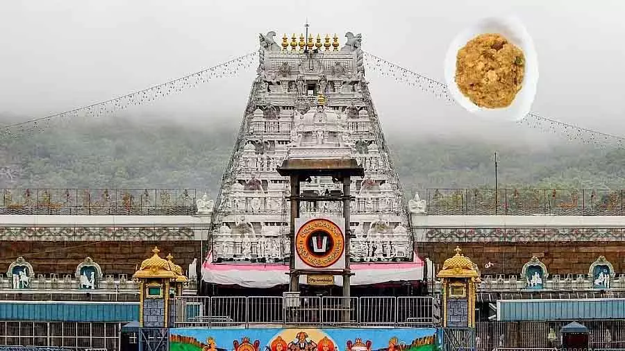 Tirupati लड्डू केस : आंध्र सरकार ने पैनल की मदद के लिए तीन अधिकारियों को नियुक्त किया Tirupati लड्डू केस : आंध्र सरकार ने पैनल की मदद के लिए तीन अधिकारियों को नियुक्त किया