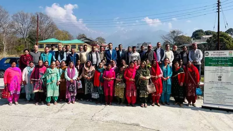 Palampur एग्रीकल्चर यूनिवर्सिटी में 50 किसानों को ऑर्गेनिक, नेचुरल खेती की ट्रेनिंग दी गई Palampur एग्रीकल्चर यूनिवर्सिटी में 50 किसानों को ऑर्गेनिक, नेचुरल खेती की ट्रेनिंग दी गई