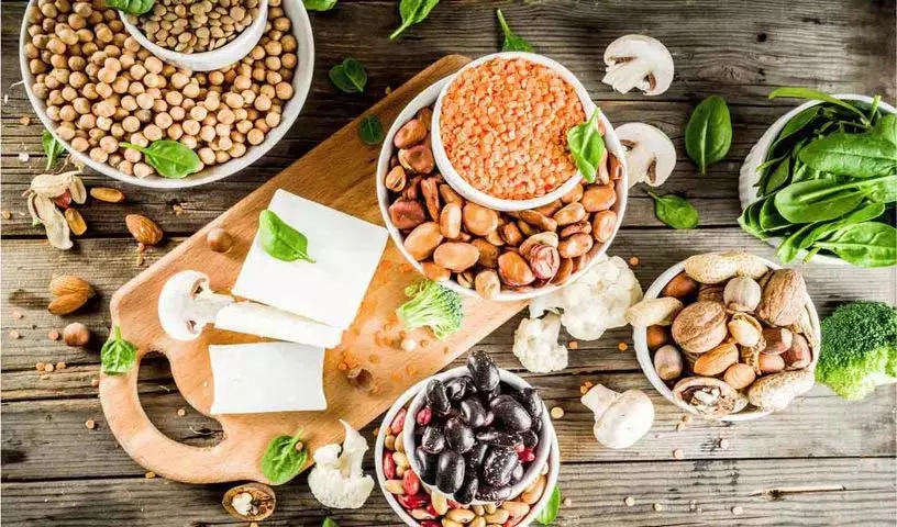 ये Plant Based प्रोटीन शाकाहारियों को कई तरह से मदद करते हैं, इन्हें रोज़ लें ये Plant Based प्रोटीन शाकाहारियों को कई तरह से मदद करते हैं, इन्हें रोज़ लें