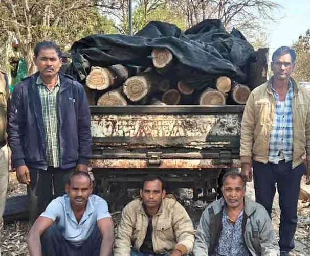 सागौन के ईमारती लकड़ी जब्त, अवैध परिवहन नाकाम सागौन के ईमारती लकड़ी जब्त, अवैध परिवहन नाकाम