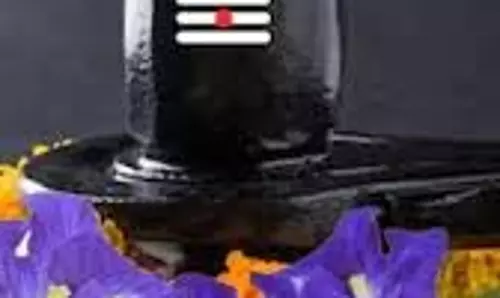 Ravi Pradosh Vrat 2026: आज  फाल्गुन रवि प्रदोष के दिन भगवान शिव का प्रिय फूल बनाएगा धन आगमन के शुभ योग