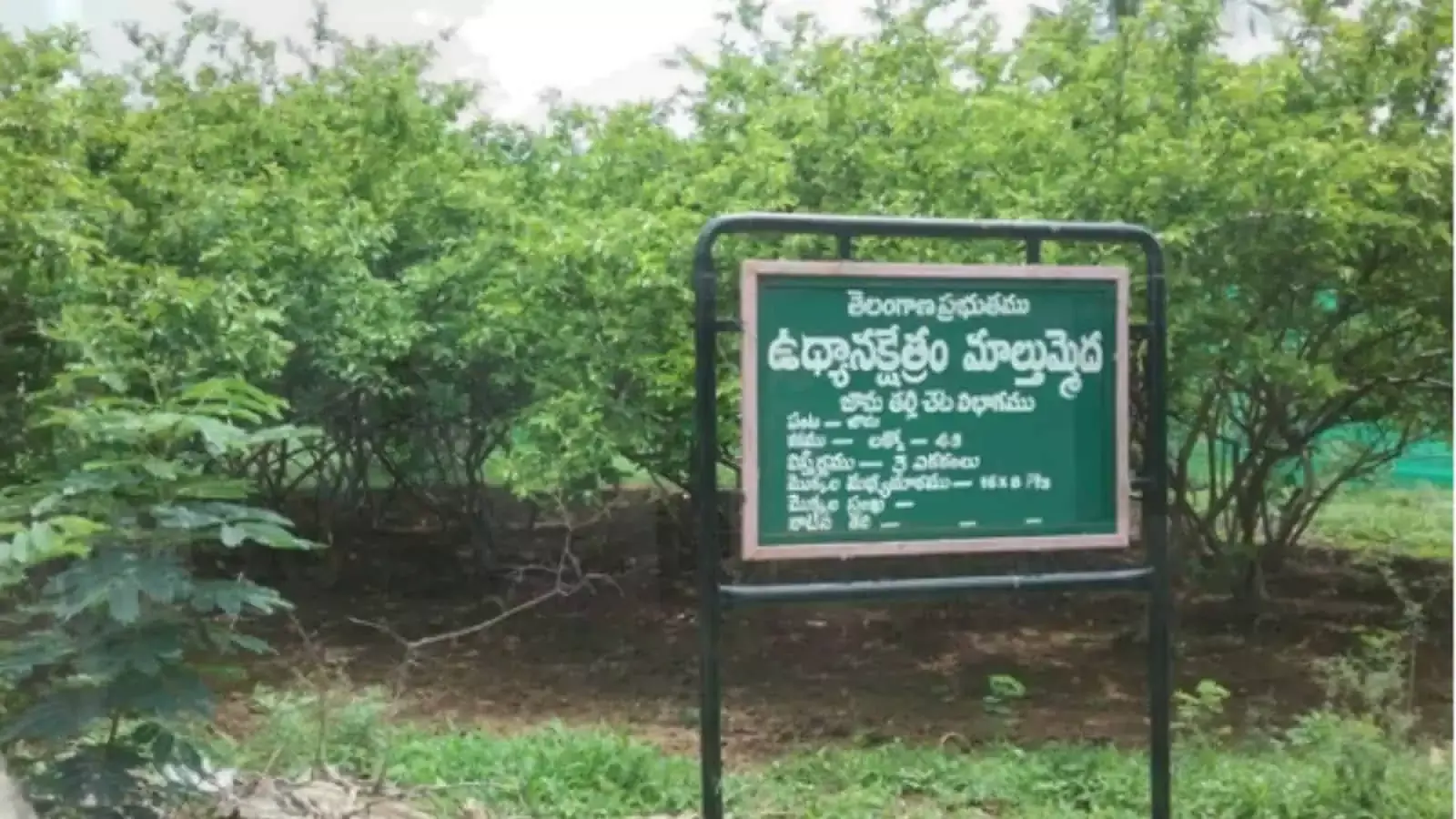Telanganas की बीज खेती की ज़मीनों की रक्षा करें: Rythu Aayog tells government