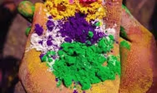 Holi Vastu: होली पर बस एक मुट्ठी गुलाल और वास्तु का ये महाउपाय, नोटों से भर देगी खाली तिजोरी Holi Vastu: होली पर बस एक मुट्ठी गुलाल और वास्तु का ये महाउपाय, नोटों से भर देगी खाली तिजोरी