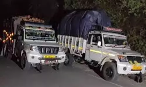Himachal Pradesh: लकड़ी तस्करों के खिलाफ बड़ी कार्रवाई,15 वाहन जब्त