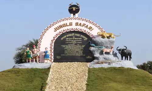 3 मार्च से 5 मार्च तक जंगल सफारी में प्रवेश बंद