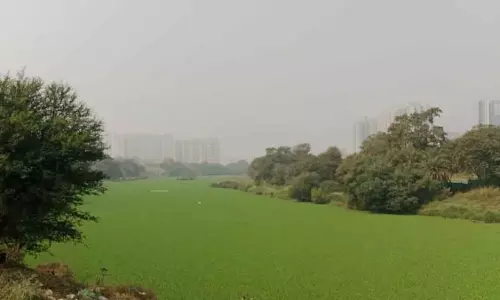 Mundhwa में मुला-मुथा नदी में जलकुंभी ने जाम लगाया; नगर निकाय एक-दूसरे पर इल्ज़ाम लगा रहे Mundhwa में मुला-मुथा नदी में जलकुंभी ने जाम लगाया; नगर निकाय एक-दूसरे पर इल्ज़ाम लगा रहे