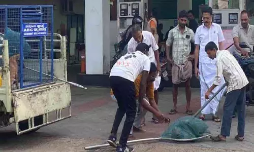 Kerala : आवारा कुत्तों को पकड़ा गया Kerala : आवारा कुत्तों को पकड़ा गया
