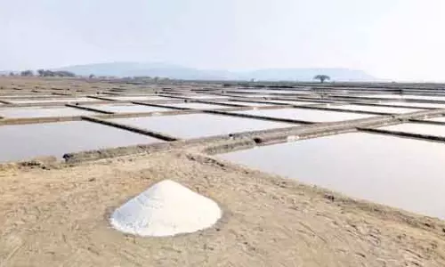 Ganjam के नमक इलाके में इतिहास रचेंगे, केंद्र सरकार 8,000 एकड़ ज़मीन का अधिग्रहण करेगी Ganjam के नमक इलाके में इतिहास रचेंगे, केंद्र सरकार 8,000 एकड़ ज़मीन का अधिग्रहण करेगी
