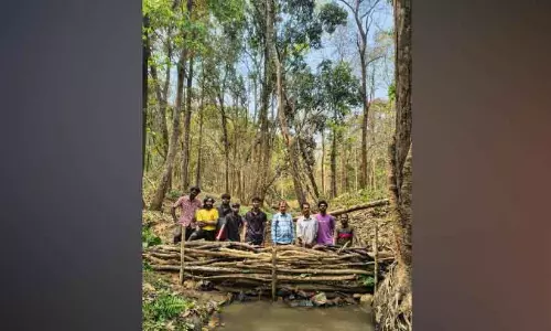 Kerala : वन्यजीवों के लिए चेक डैम बनाया गया Kerala : वन्यजीवों के लिए चेक डैम बनाया गया