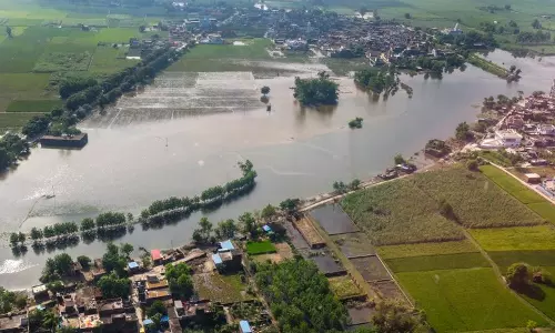 सामान्य से ‘काफी’ अधिक तापमान के बीच Punjab में फरवरी लगभग सूखा रहा सामान्य से ‘काफी’ अधिक तापमान के बीच Punjab में फरवरी लगभग सूखा रहा