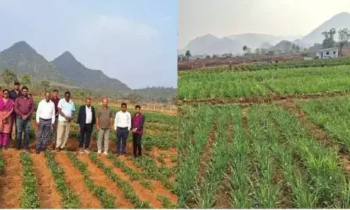 Odisha में रामचंद्र बेहरा ने इंटीग्रेटेड फार्म से खेती में नवाचार किया Odisha में रामचंद्र बेहरा ने इंटीग्रेटेड फार्म से खेती में नवाचार किया