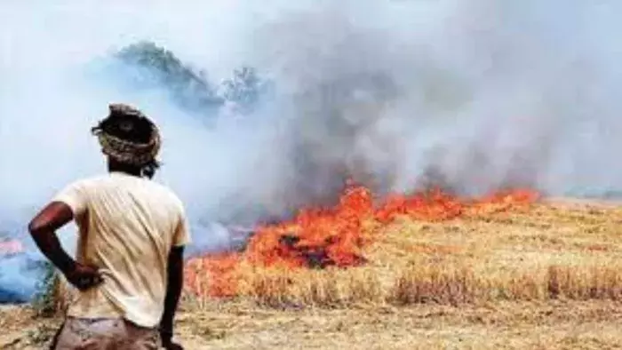 Kaithal: किसान की मेहनत पर पानी, लाखों का नुकसान Kaithal: किसान की मेहनत पर पानी, लाखों का नुकसान