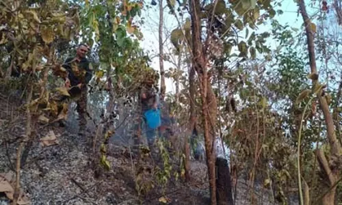 भारत-म्यांमार चेक पोस्ट के पास जंगल में लगी आग भारत-म्यांमार चेक पोस्ट के पास जंगल में लगी आग