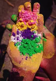 Holi Vastu: होली पर बस एक मुट्ठी गुलाल और वास्तु का ये महाउपाय, नोटों से भर देगी खाली तिजोरी Holi Vastu: होली पर बस एक मुट्ठी गुलाल और वास्तु का ये महाउपाय, नोटों से भर देगी खाली तिजोरी
