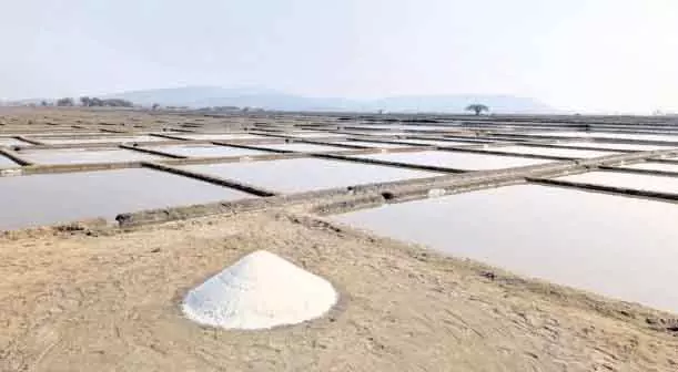 Ganjam के नमक इलाके में इतिहास रचेंगे, केंद्र सरकार 8,000 एकड़ ज़मीन का अधिग्रहण करेगी Ganjam के नमक इलाके में इतिहास रचेंगे, केंद्र सरकार 8,000 एकड़ ज़मीन का अधिग्रहण करेगी