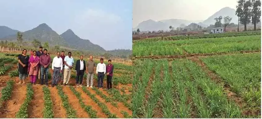 Odisha में रामचंद्र बेहरा ने इंटीग्रेटेड फार्म से खेती में नवाचार किया Odisha में रामचंद्र बेहरा ने इंटीग्रेटेड फार्म से खेती में नवाचार किया