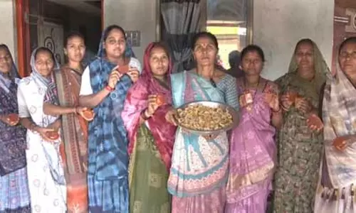 गुजरात: नर्मदा के जंगलों में पलाश के फूल खिलने से टूरिस्ट की बढ़ी दिलचस्पी गुजरात: नर्मदा के जंगलों में पलाश के फूल खिलने से टूरिस्ट की बढ़ी दिलचस्पी