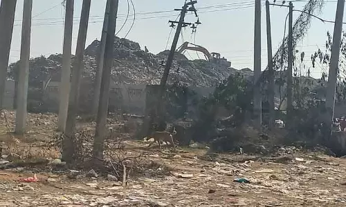 Haryana के यमुनानगर नगर निगम को 100% डोर-टू-डोर कचरा कलेक्शन लागू करने का आदेश Haryana के यमुनानगर नगर निगम को 100% डोर-टू-डोर कचरा कलेक्शन लागू करने का आदेश