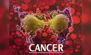 Mizoram में कैंसर के सबसे अधिक मामले, HPV टीकाकरण अभियान को मिली तेज़ी Mizoram में कैंसर के सबसे अधिक मामले, HPV टीकाकरण अभियान को मिली तेज़ी