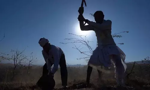 MP : राज्य में दोपहरें गर्म रहेंगी, दिन का तापमान 1–3°C बढ़ेगा