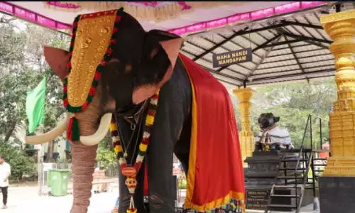Chennai : मंदिर ने पवित्र अनुष्ठानों के दौरान जानवरों को तकलीफ से बचाने के लिए मैकेनिकल हाथी का इस्तेमाल किया Chennai : मंदिर ने पवित्र अनुष्ठानों के दौरान जानवरों को तकलीफ से बचाने के लिए मैकेनिकल हाथी का इस्तेमाल किया