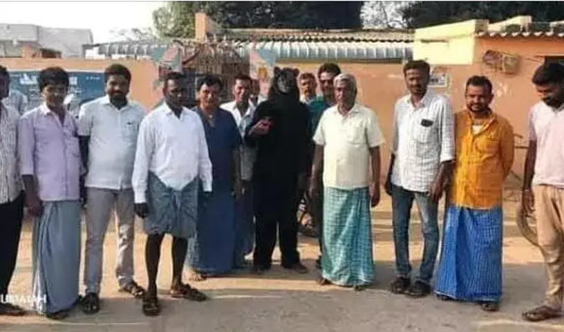 Karimnagar में बंदरों की समस्या से निपटने में सरपंचों को गोरिल्ला कॉस्ट्यूम की मदद मिली