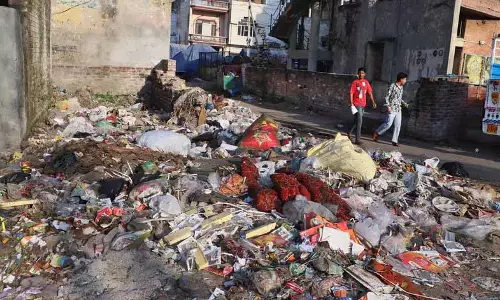 Jalandhar के मंडी फेंटनगंज में बदबू, कचरे के ढेर सेहत के लिए खतरा